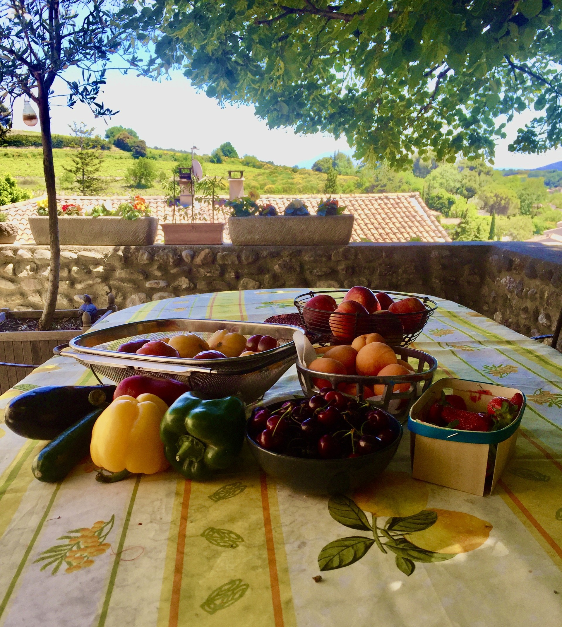 Visan nära Avignon, 3 Bedrooms Bedrooms, 0 ,3 BathroomsBathrooms,Villor,Till salu,0,1410