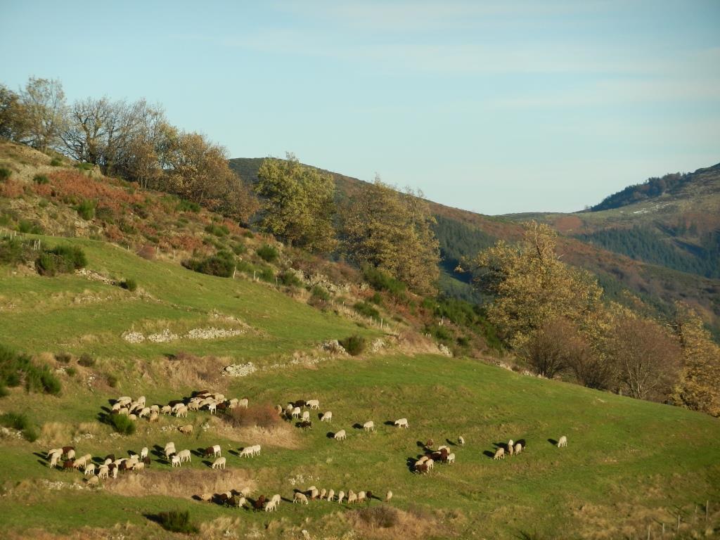 Ardèche/Genestelle, 0 , 0 ,0,Radhus / Byhus,Till salu,0,1412